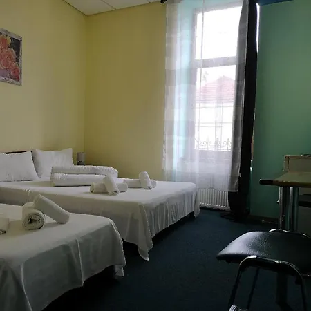 Maison d'hôtes Flamingo Braşov