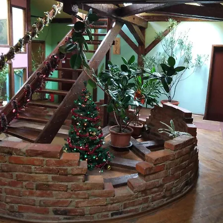 Flamingo Maison d'hôtes Braşov